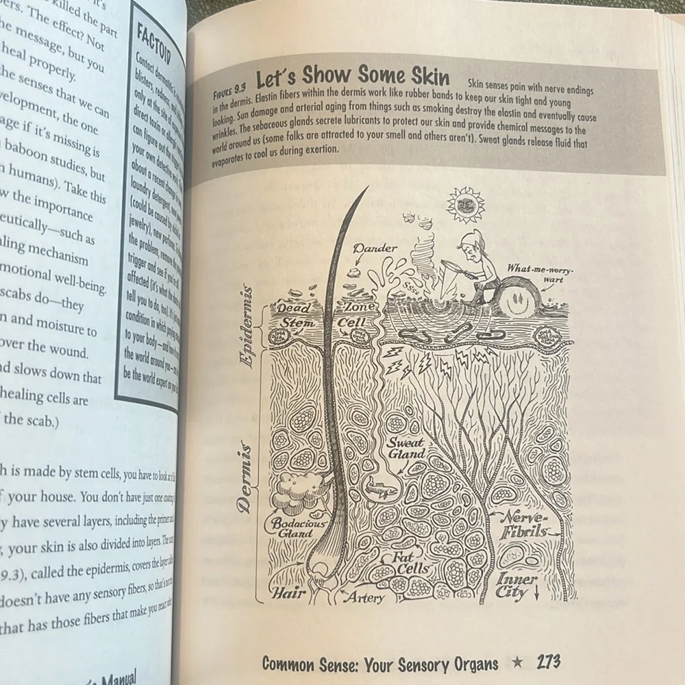 You: The Owner's Manual Book